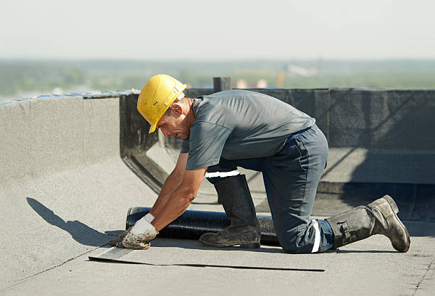 Best Insulation Maintenance and Repair in San Leon, TX